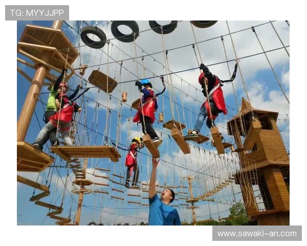 提升体育娱乐体验的关键：v体育真人版会员注册详细操作流程介绍